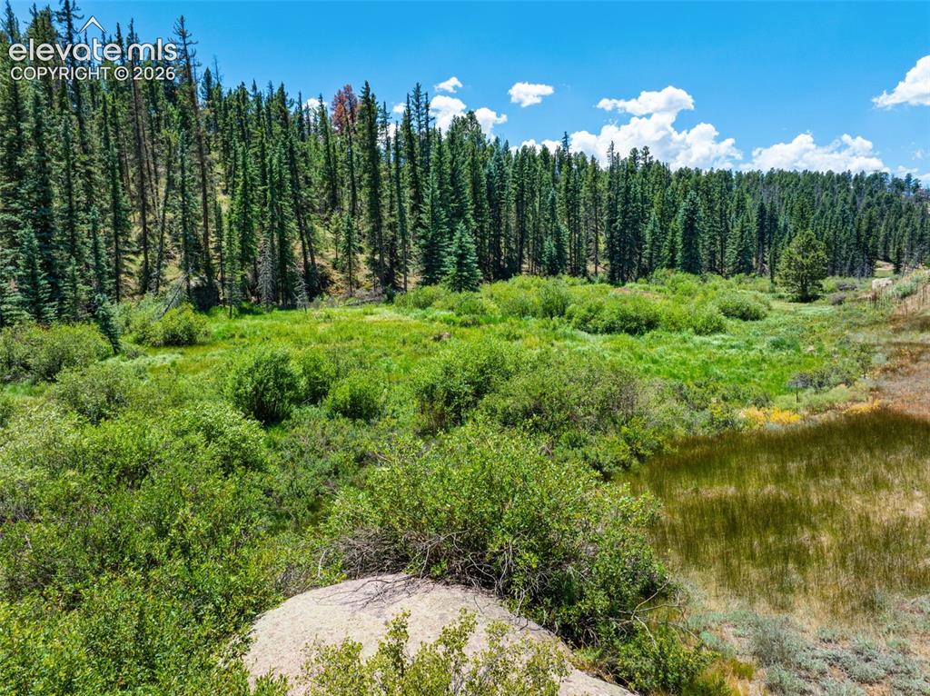404 Morning Star Creek Trail Florissant CO 80816