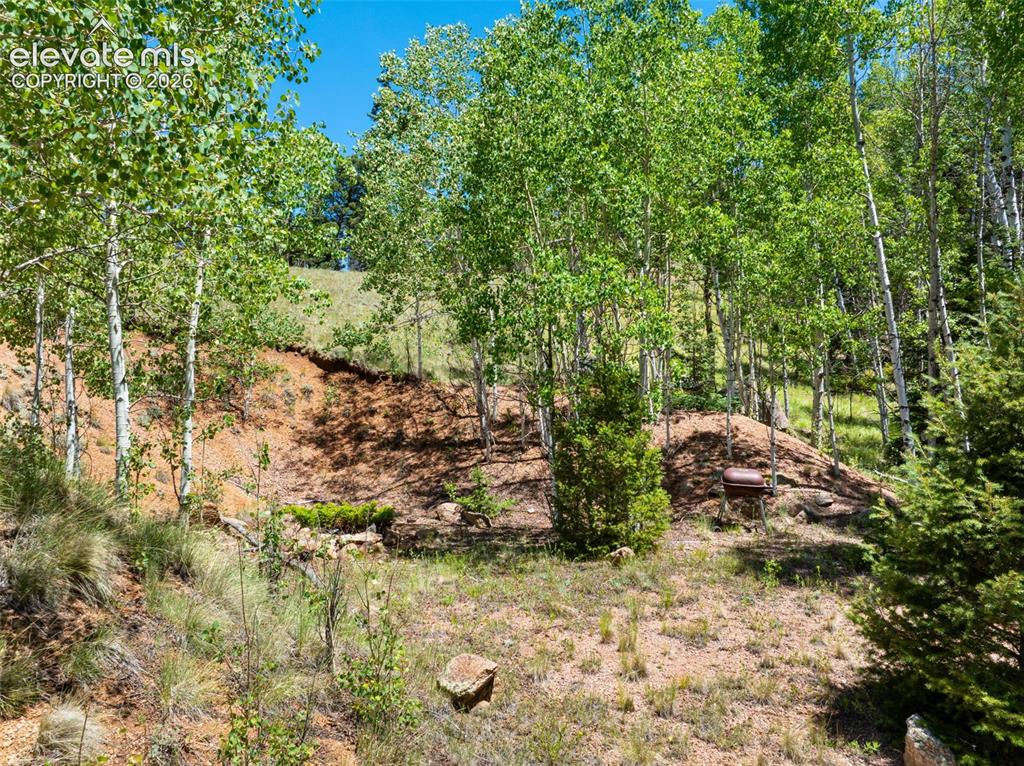 404 Morning Star Creek Trail Florissant CO 80816