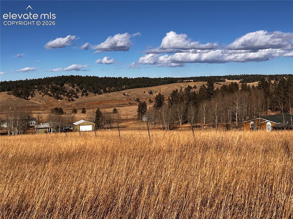 216 Will Scarlet Drive Divide CO 80814