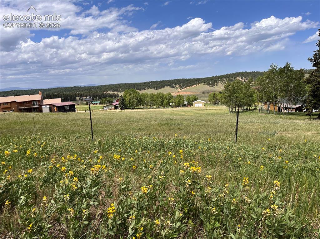 216 Will Scarlet Drive Divide CO 80814