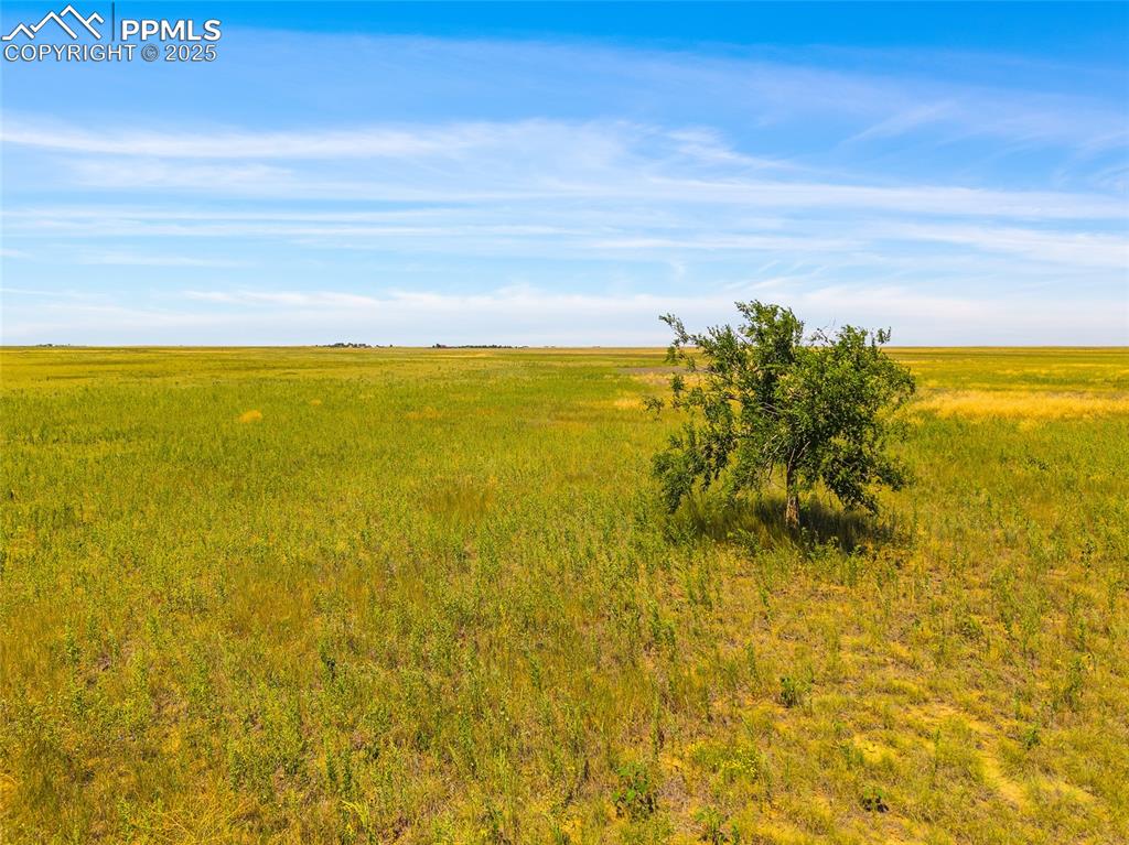 Parcel 4 County Road 2 Rush CO 80833