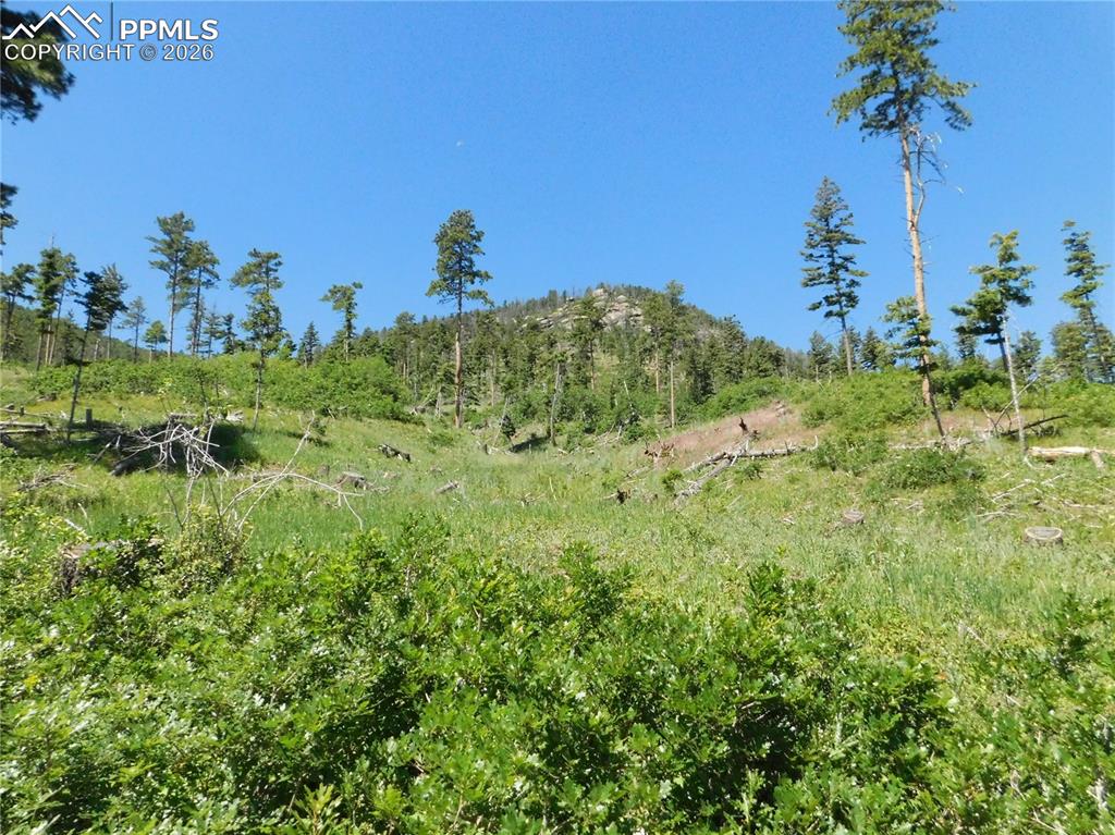 8249 Yuma Circle Larkspur CO 80118