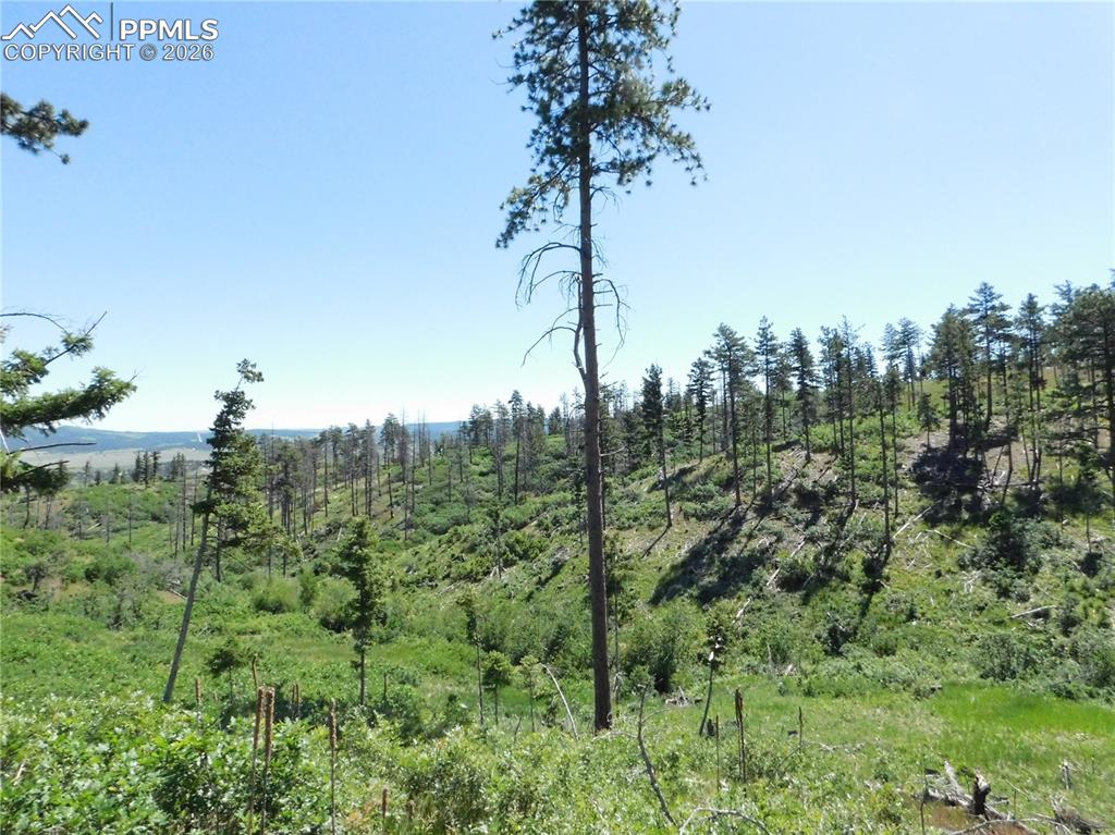 8249 Yuma Circle Larkspur CO 80118