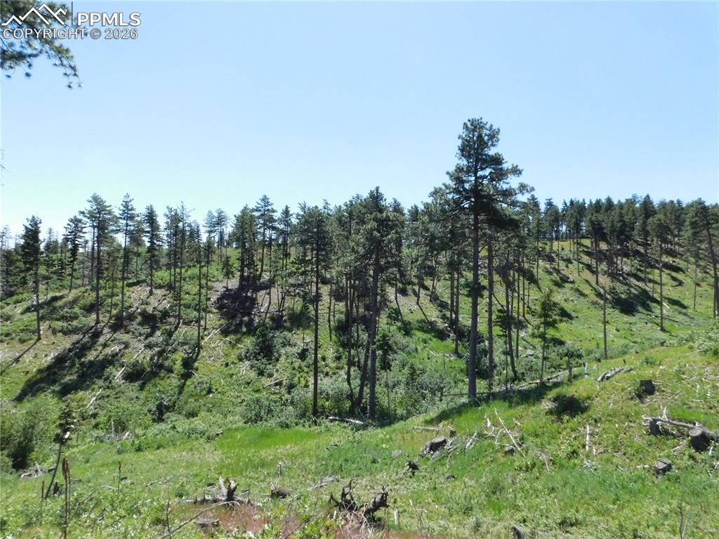 8249 Yuma Circle Larkspur CO 80118