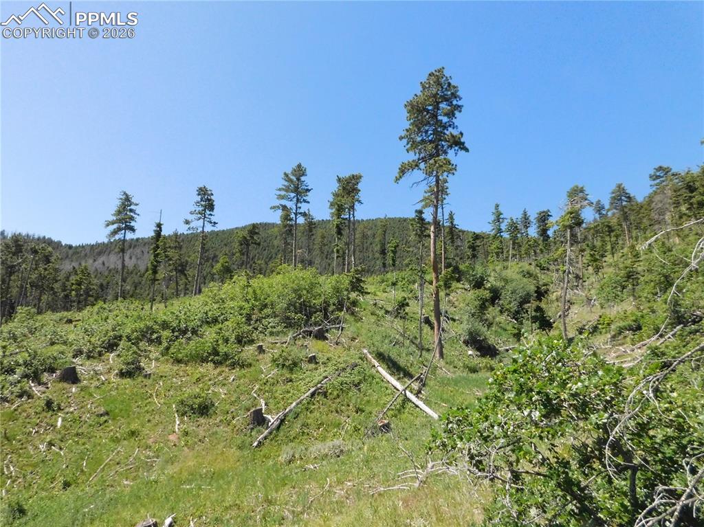 8249 Yuma Circle Larkspur CO 80118