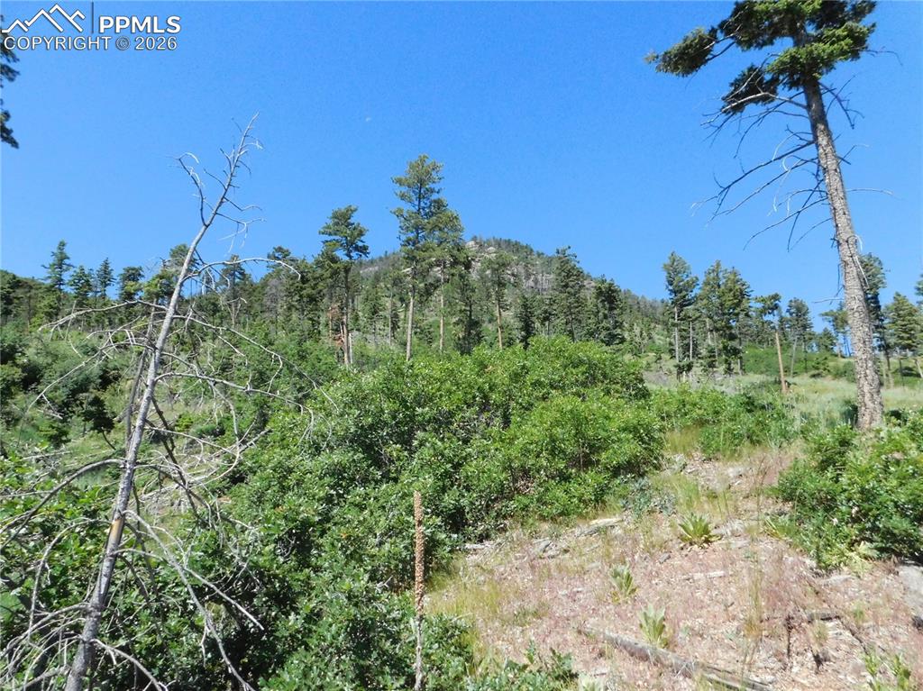 8249 Yuma Circle Larkspur CO 80118
