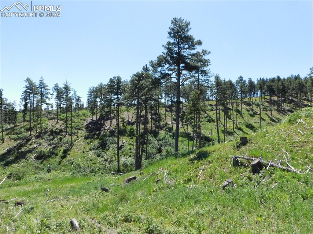 8249 Yuma Circle Larkspur CO 80118