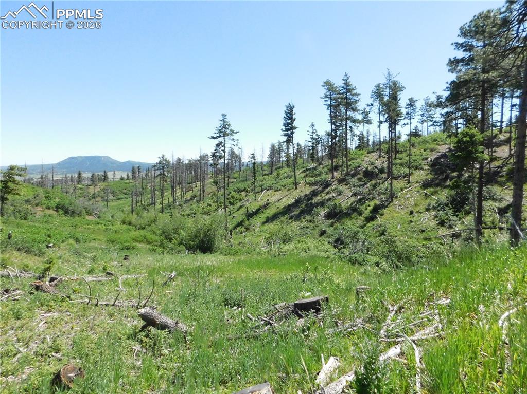 8249 Yuma Circle Larkspur CO 80118