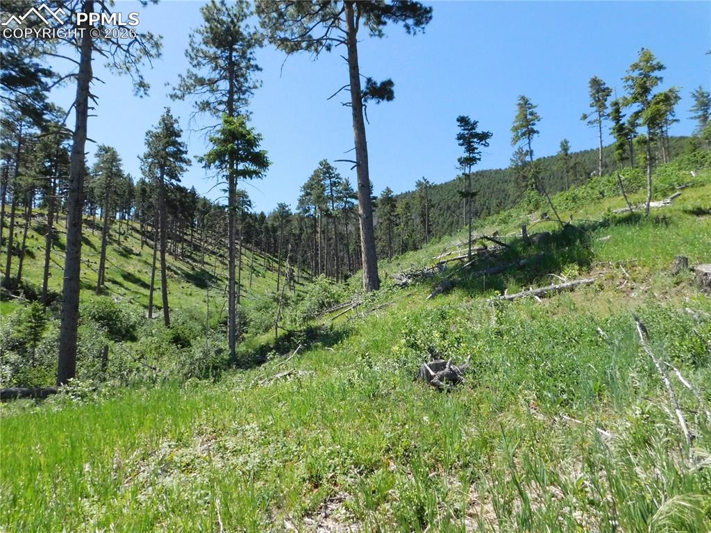 8249 Yuma Circle Larkspur CO 80118