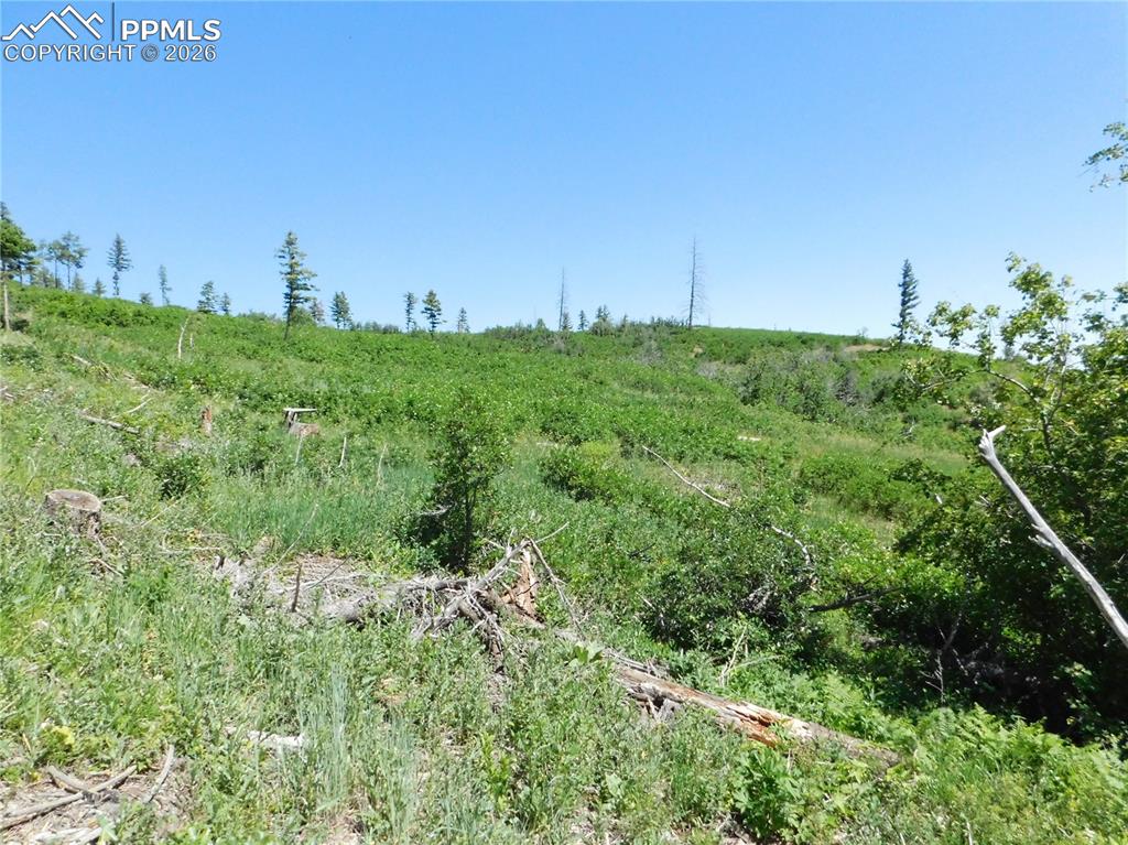 8249 Yuma Circle Larkspur CO 80118