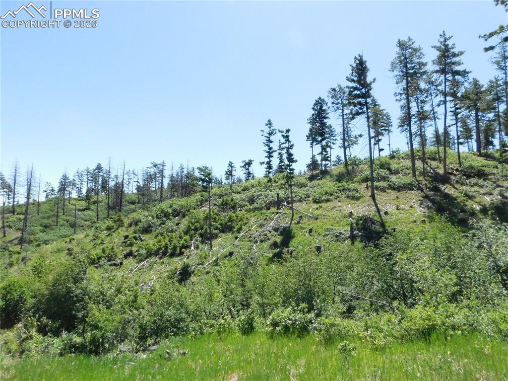 8249 Yuma Circle Larkspur CO 80118