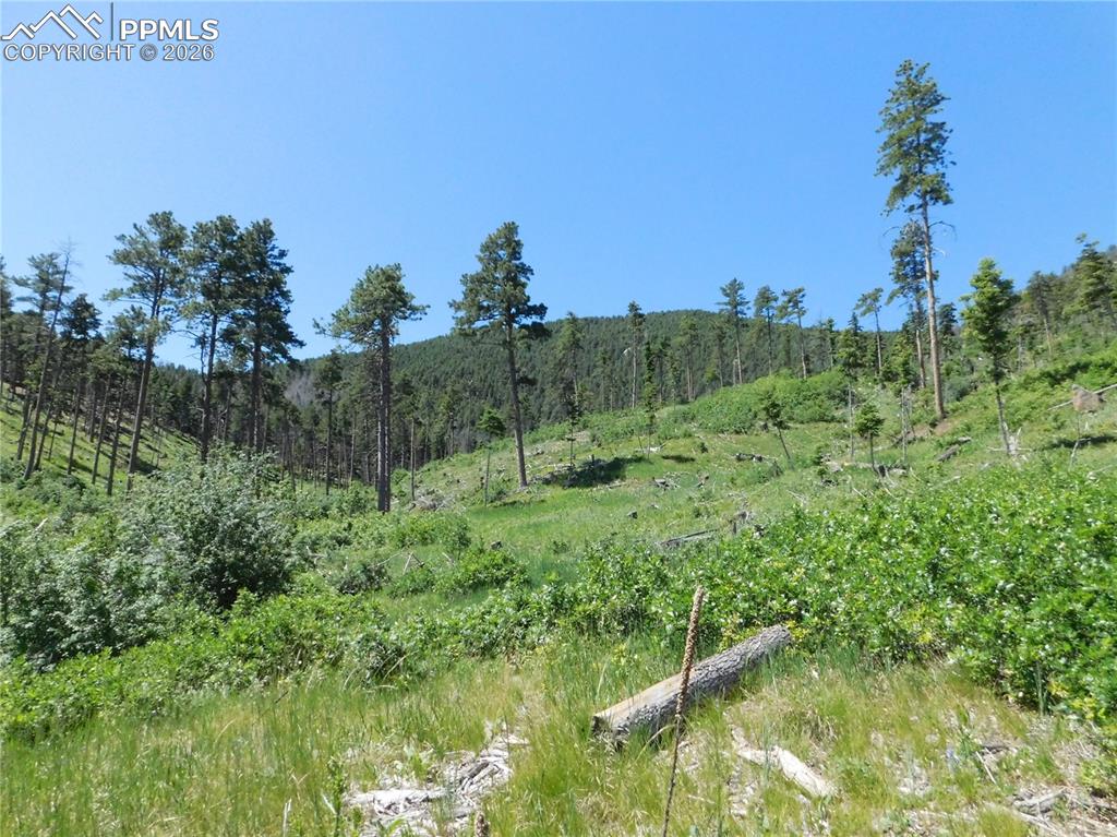 8249 Yuma Circle Larkspur CO 80118
