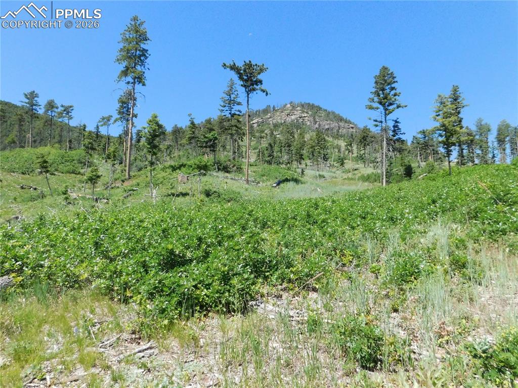 8249 Yuma Circle Larkspur CO 80118