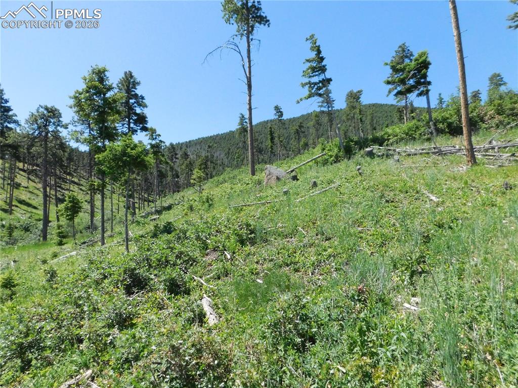 8249 Yuma Circle Larkspur CO 80118