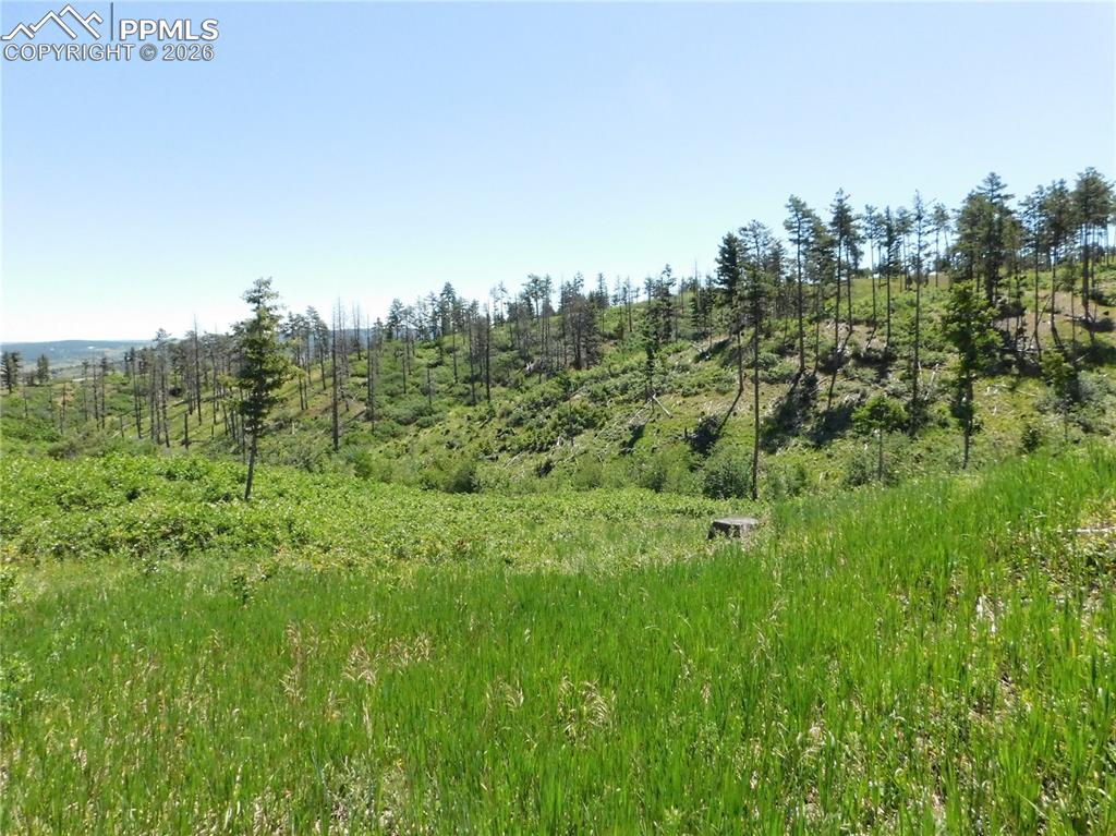 8249 Yuma Circle Larkspur CO 80118