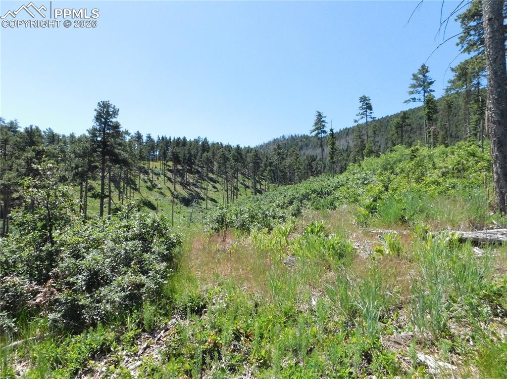 8249 Yuma Circle Larkspur CO 80118