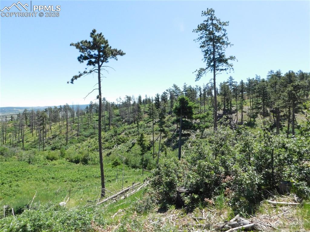 8249 Yuma Circle Larkspur CO 80118