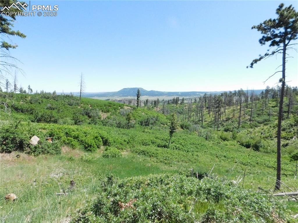 8249 Yuma Circle Larkspur CO 80118