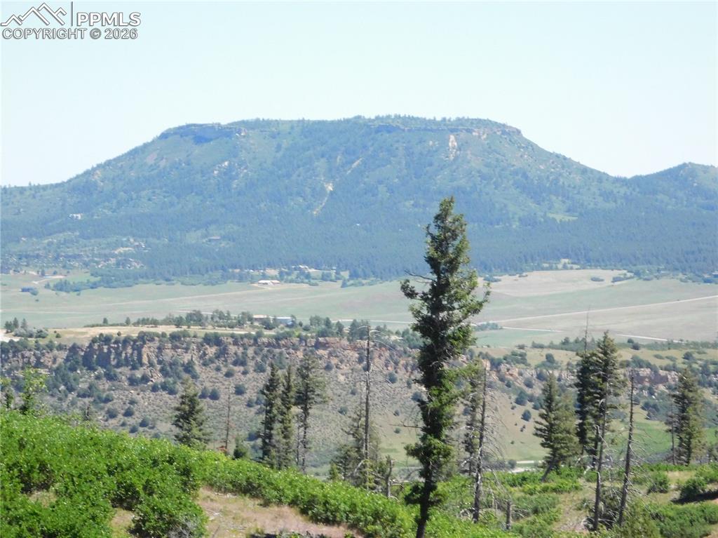 8249 Yuma Circle Larkspur CO 80118