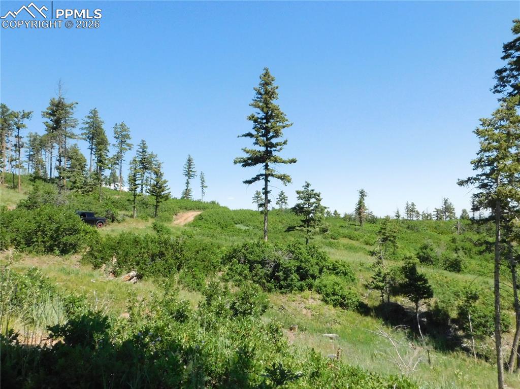 8249 Yuma Circle Larkspur CO 80118