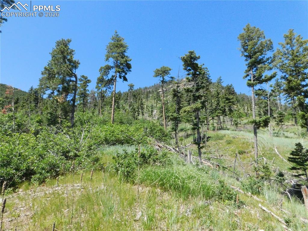 8249 Yuma Circle Larkspur CO 80118