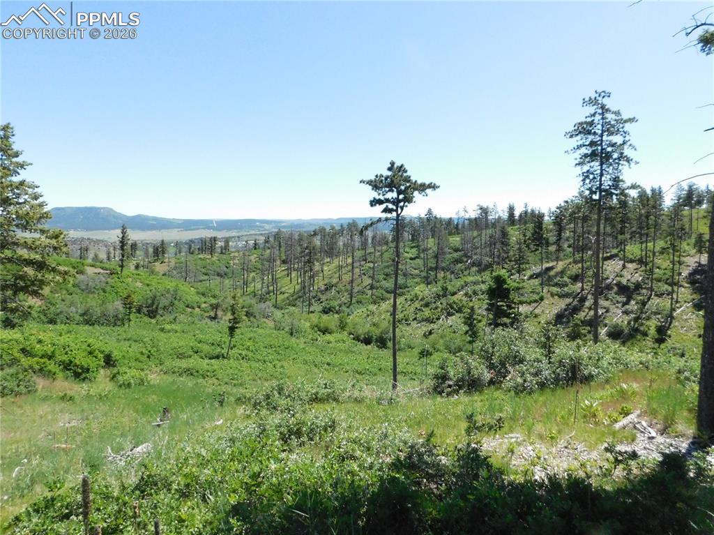 8249 Yuma Circle Larkspur CO 80118