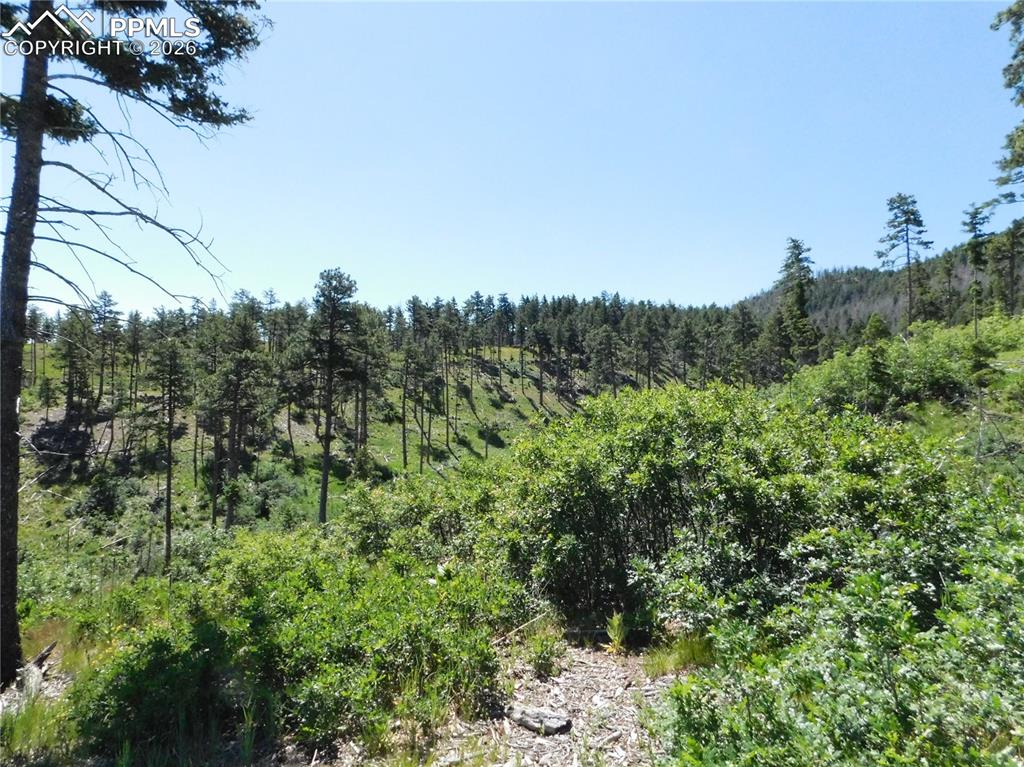 8249 Yuma Circle Larkspur CO 80118
