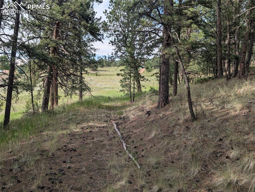 1379 S Mountain Estates Road Florissant CO 80816