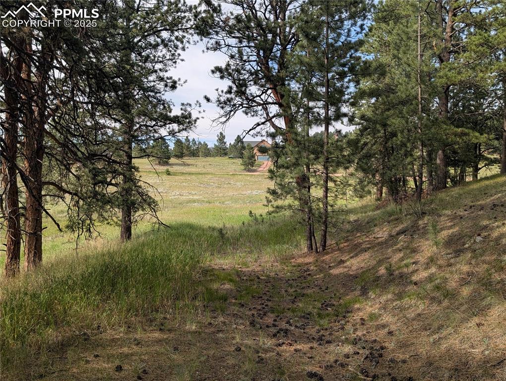 1379 S Mountain Estates Road Florissant CO 80816