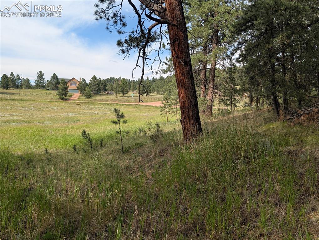 1379 S Mountain Estates Road Florissant CO 80816