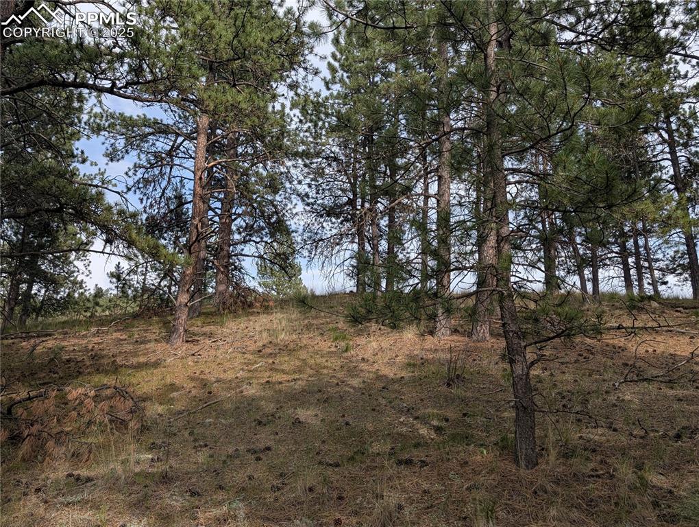 1379 S Mountain Estates Road Florissant CO 80816