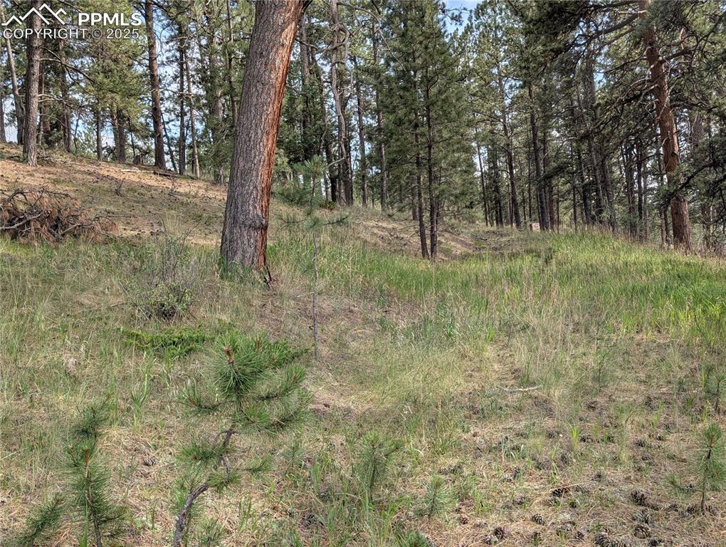 1379 S Mountain Estates Road Florissant CO 80816