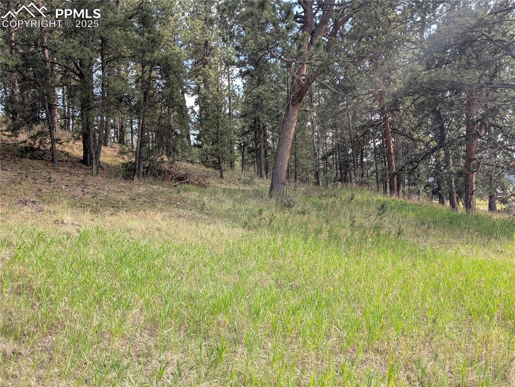 1379 S Mountain Estates Road Florissant CO 80816