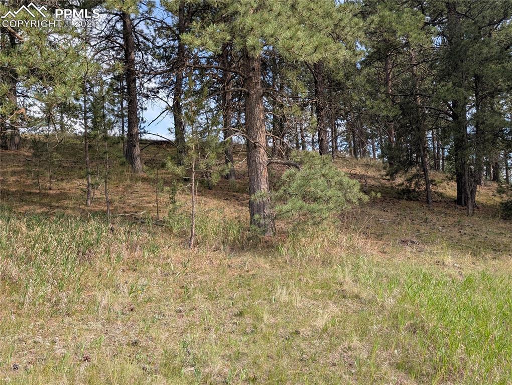 1379 S Mountain Estates Road Florissant CO 80816