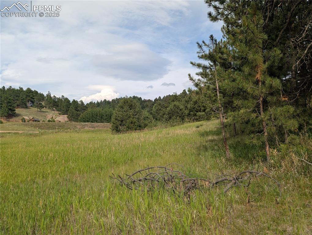 1379 S Mountain Estates Road Florissant CO 80816
