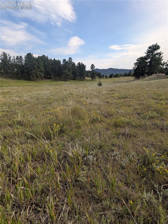 1379 S Mountain Estates Road Florissant CO 80816