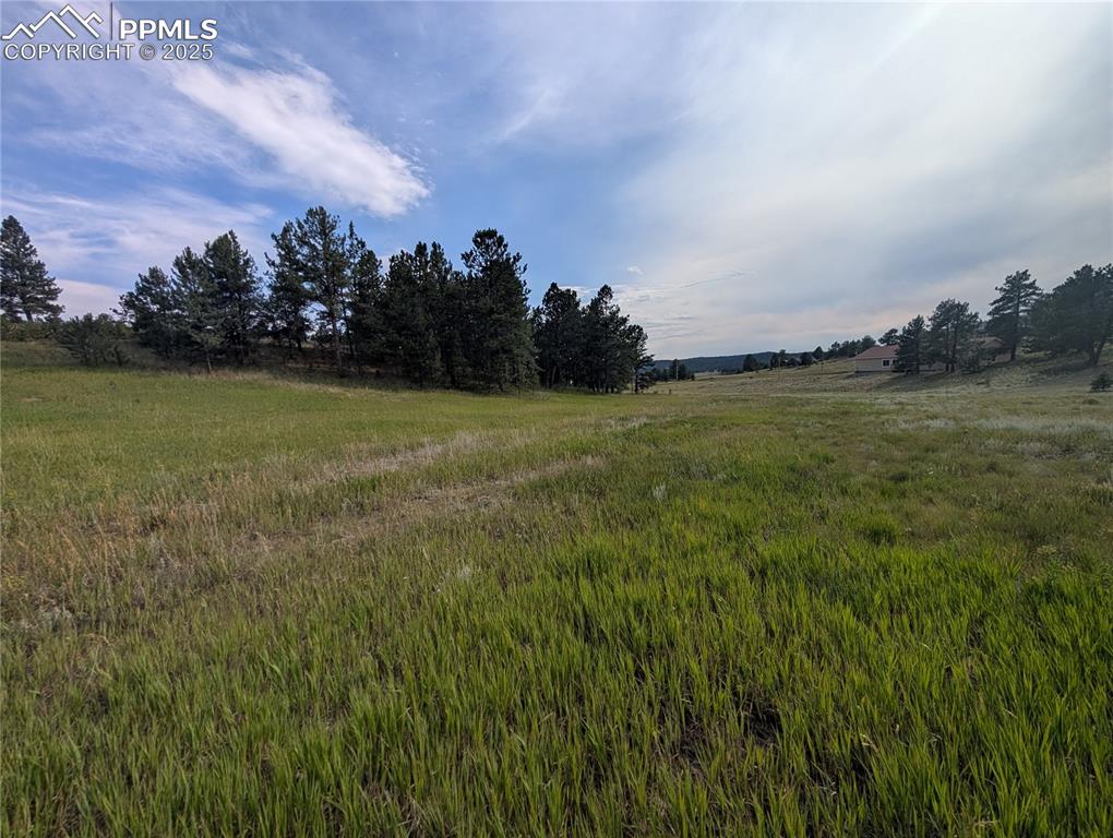 1379 S Mountain Estates Road Florissant CO 80816
