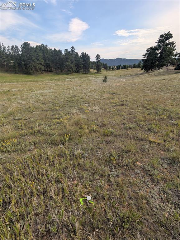 1379 S Mountain Estates Road Florissant CO 80816
