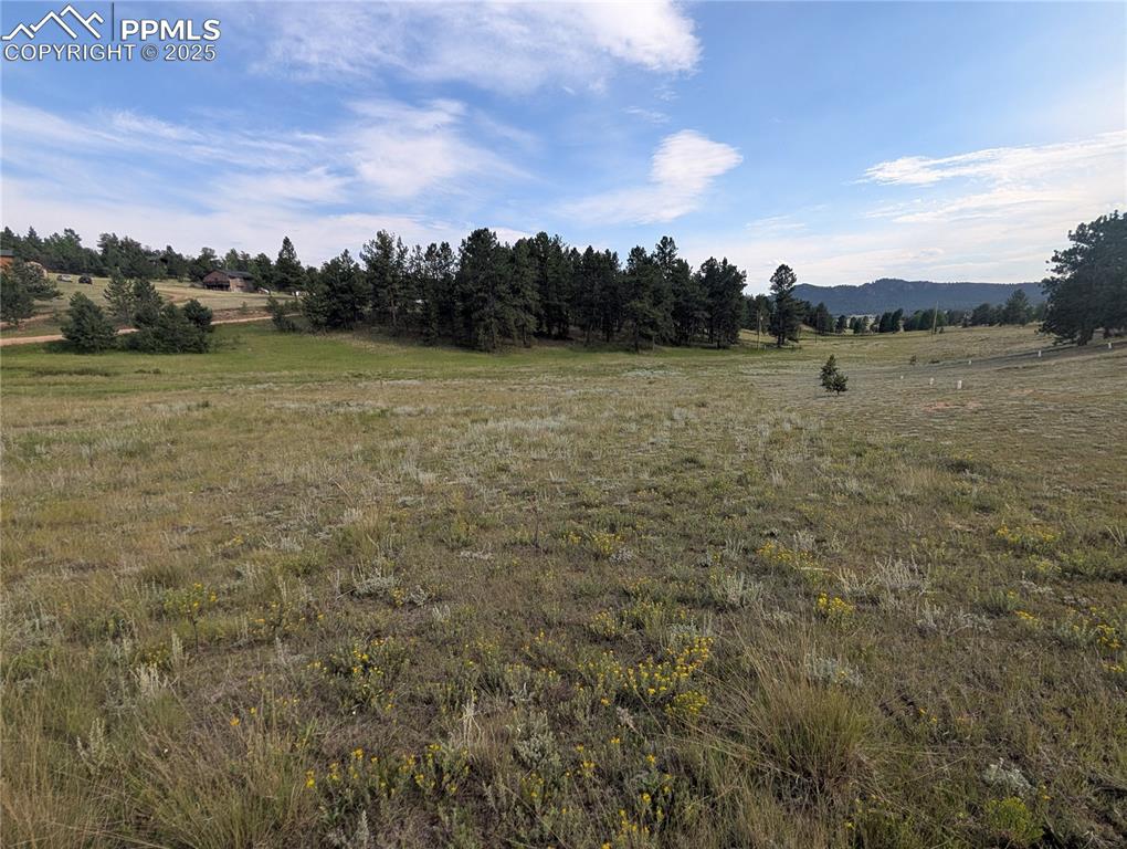 1379 S Mountain Estates Road Florissant CO 80816