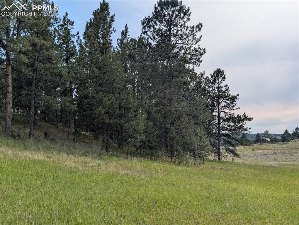 1379 S Mountain Estates Road Florissant CO 80816