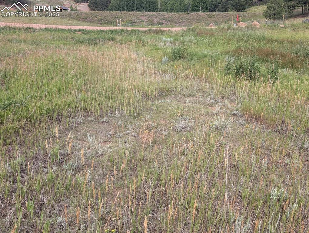1379 S Mountain Estates Road Florissant CO 80816