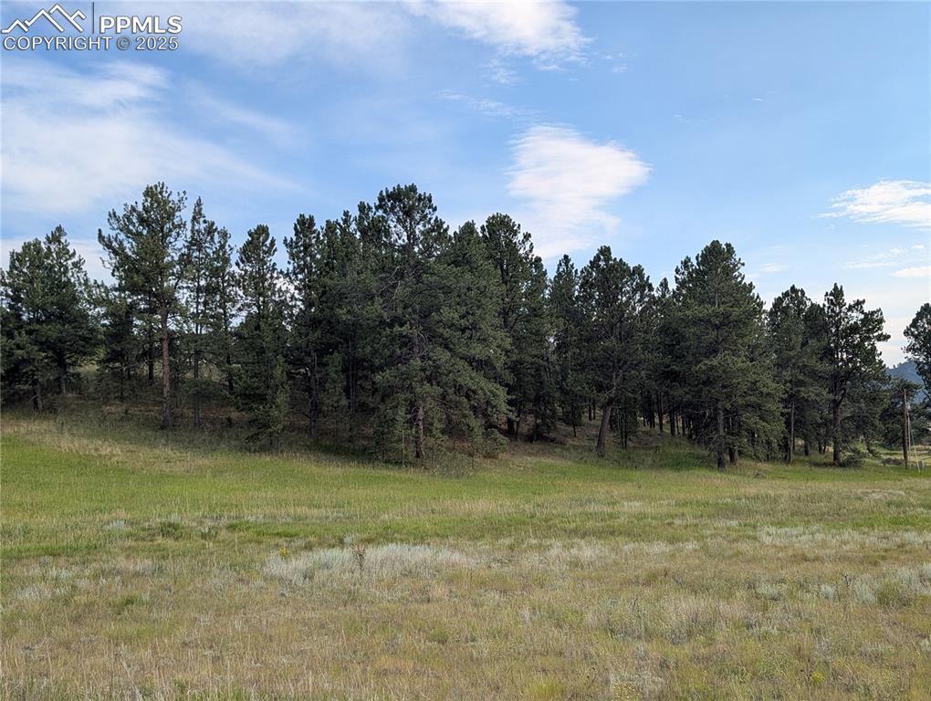 1379 S Mountain Estates Road Florissant CO 80816