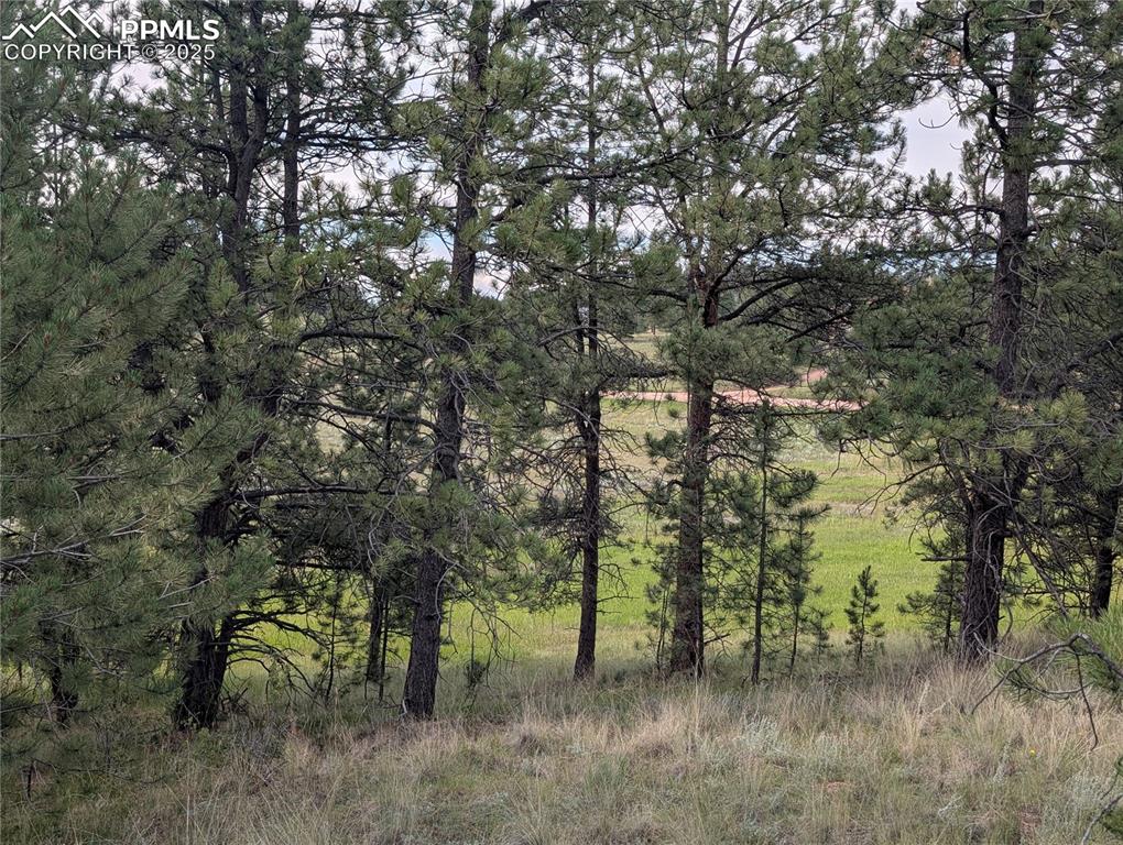 1379 S Mountain Estates Road Florissant CO 80816