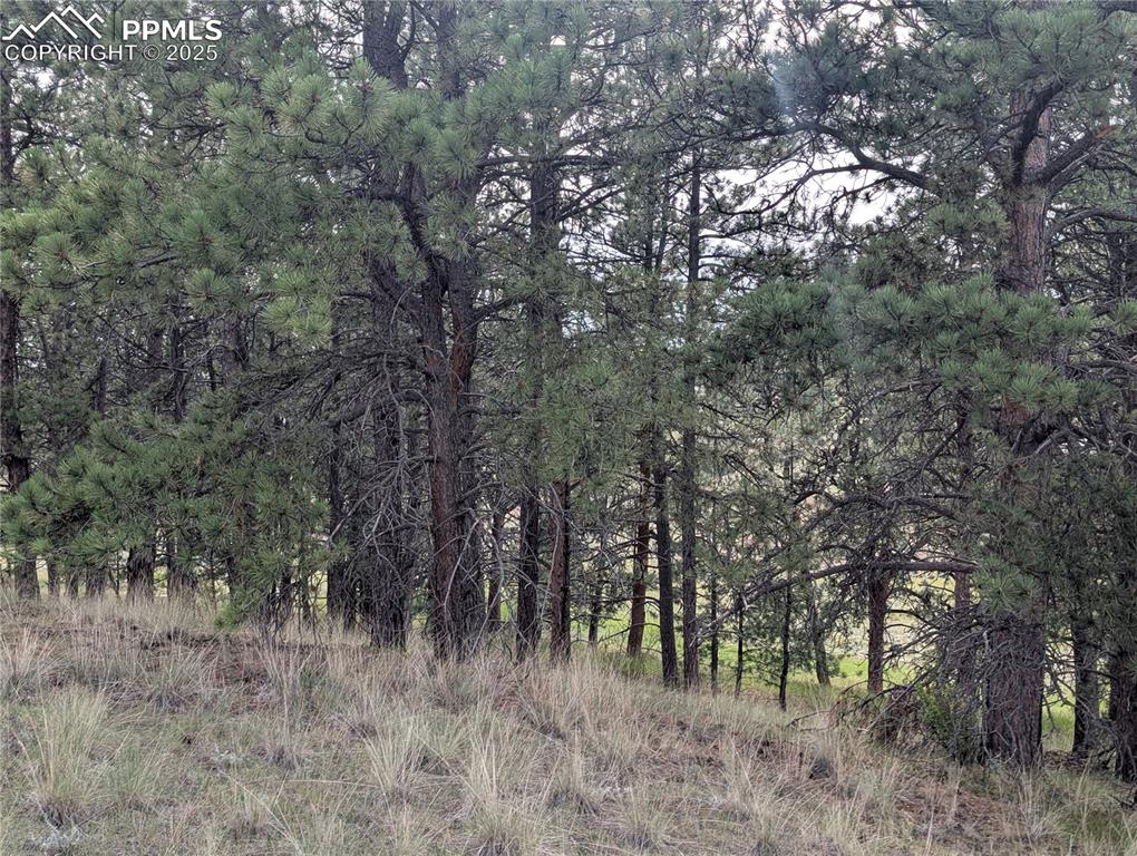 1379 S Mountain Estates Road Florissant CO 80816