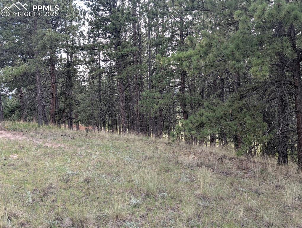 1379 S Mountain Estates Road Florissant CO 80816