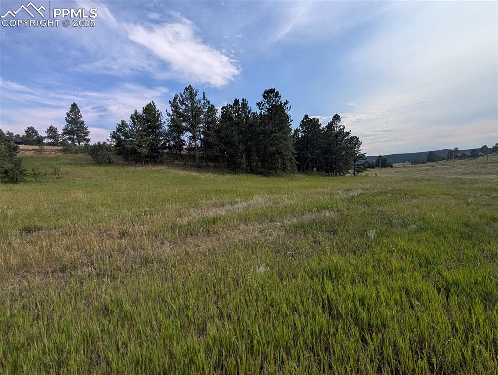1379 S Mountain Estates Road Florissant CO 80816