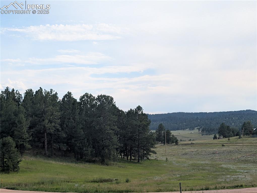 1379 S Mountain Estates Road Florissant CO 80816
