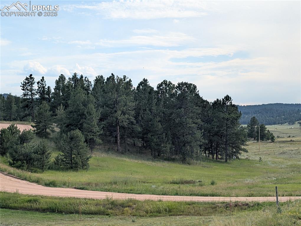 1379 S Mountain Estates Road Florissant CO 80816