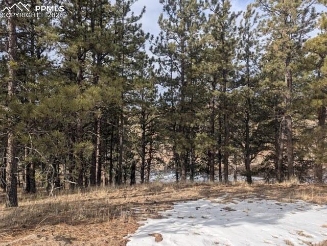 1379 S Mountain Estates Road Florissant CO 80816
