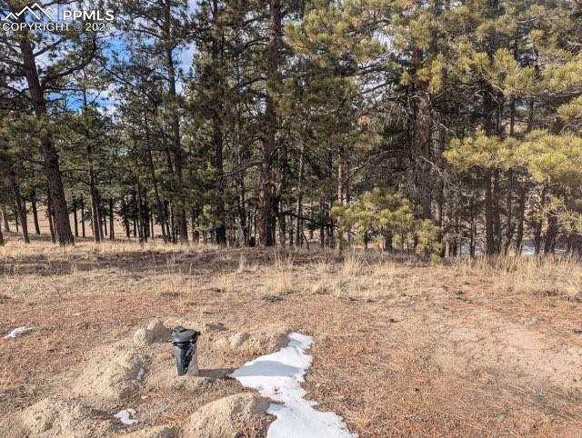 1379 S Mountain Estates Road Florissant CO 80816